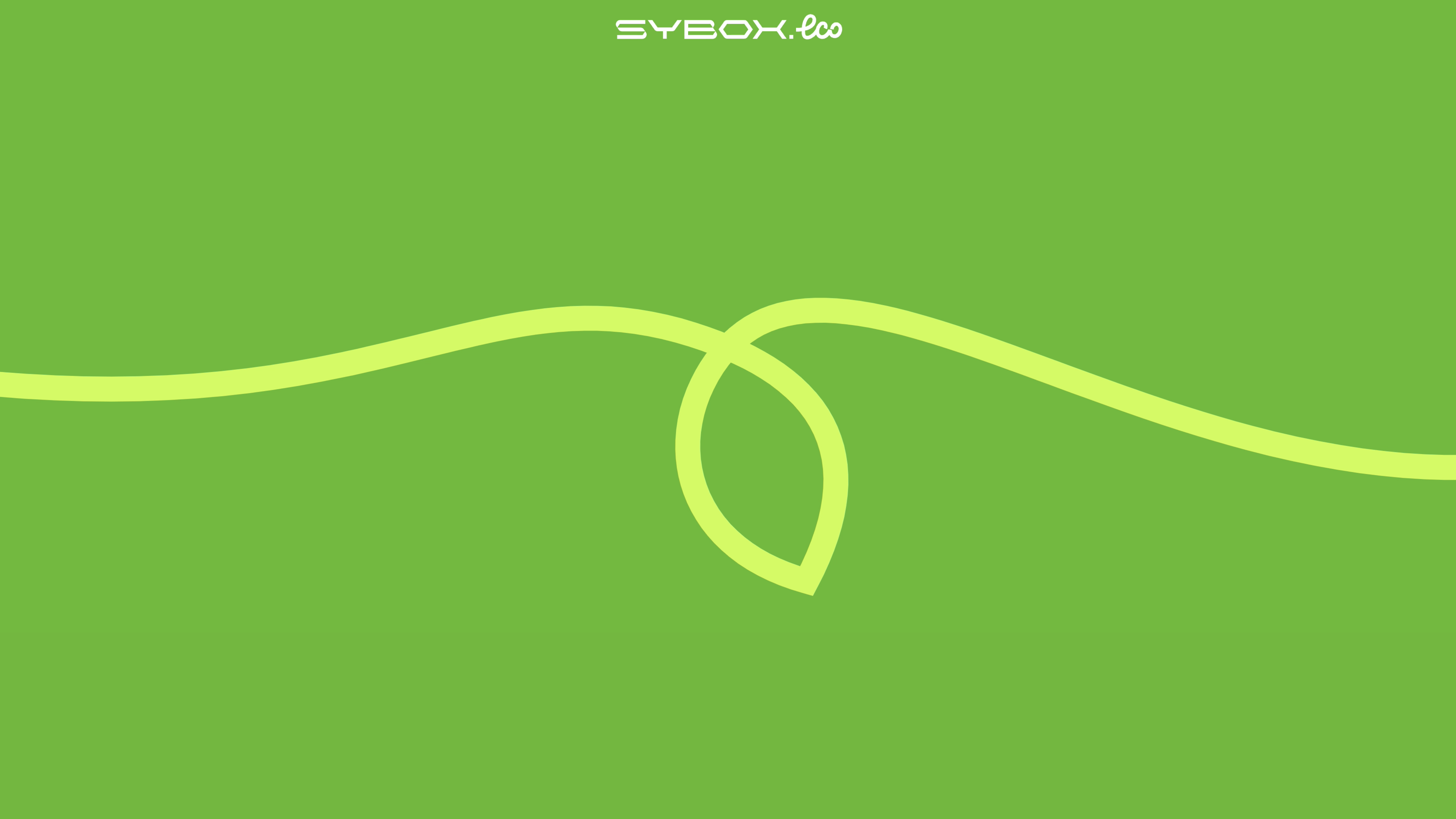 Фабрика по производству гофроупаковки Sybox